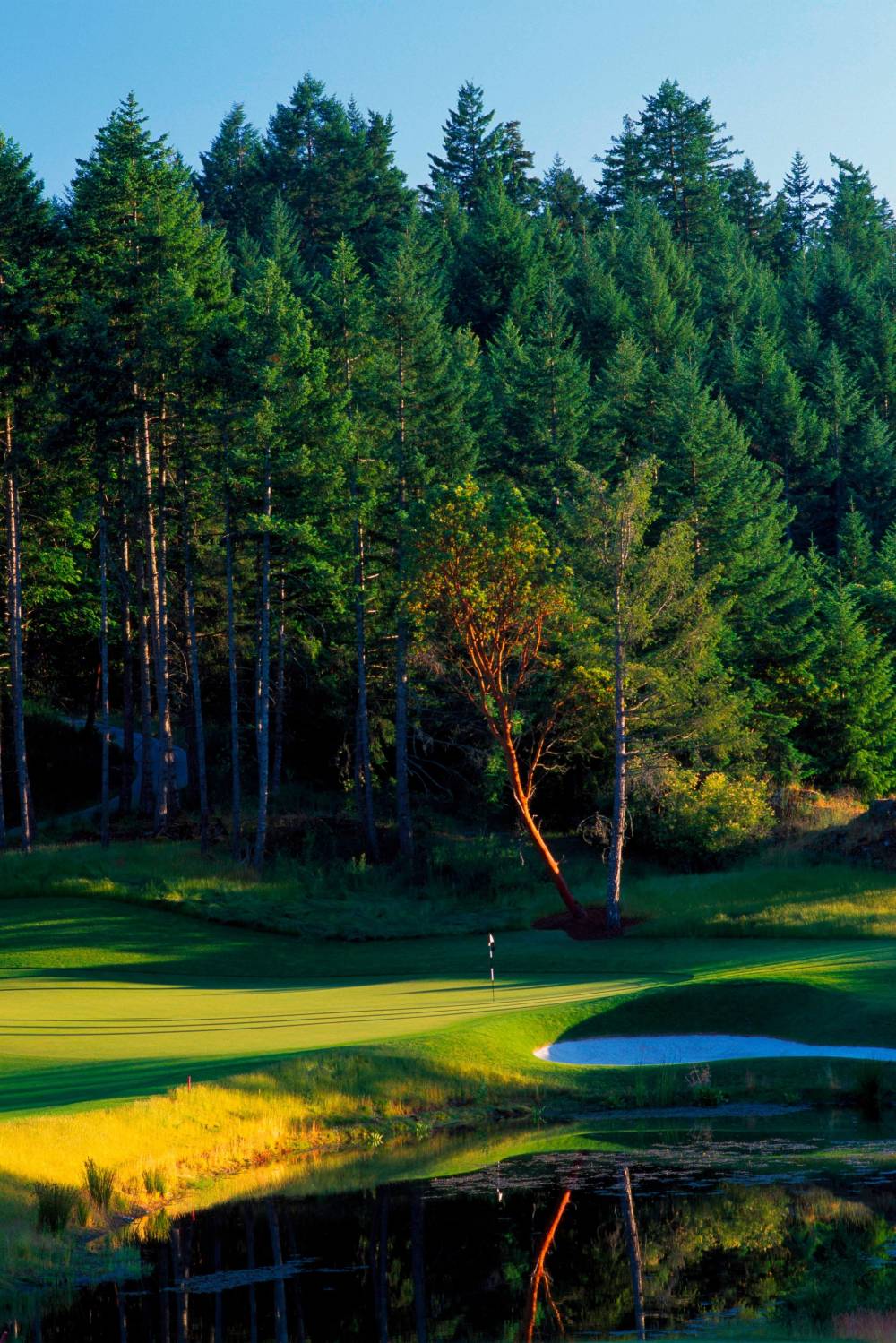 The Westin Bear Mountain Golf Resort And Spa Victoria 5