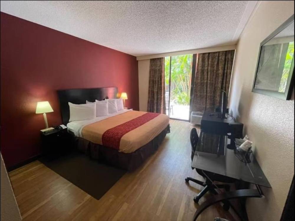 Tropical Palms Hotel 4