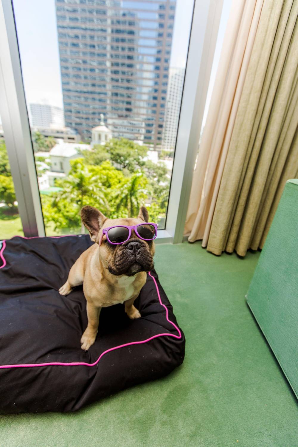 W Miami 4