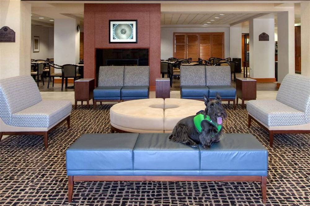 Wingate By Wyndham Chantilly / Dulles Airport 4