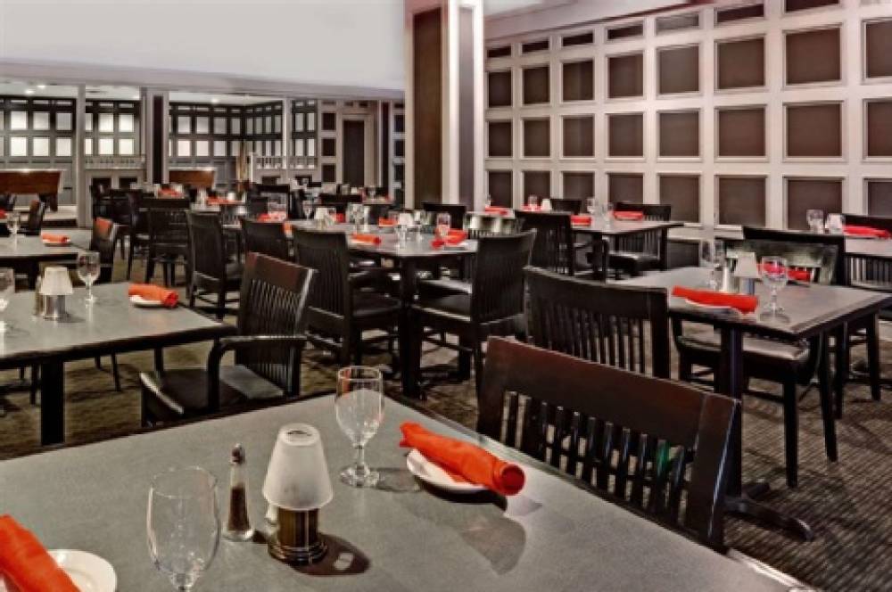 Wyndham Garden Norfolk Downtown 8